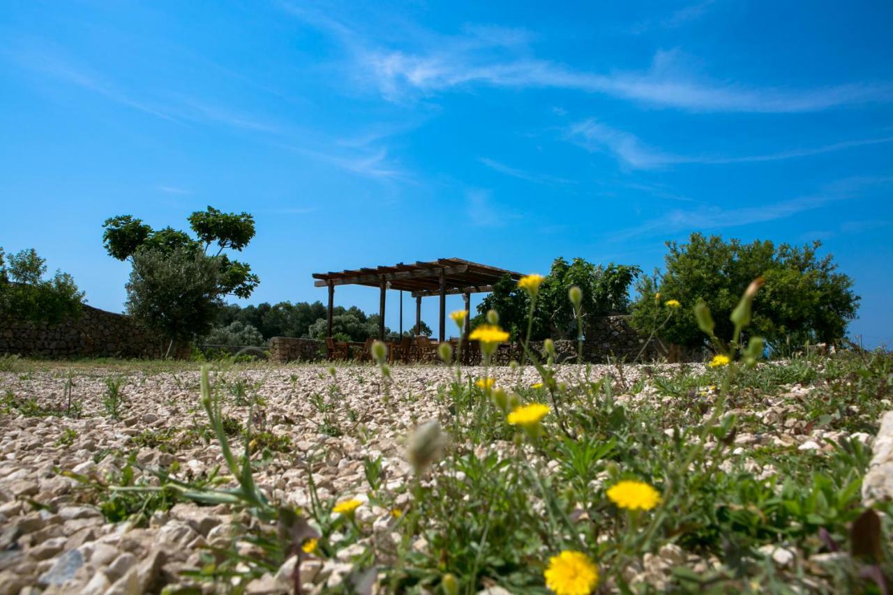 Antica Masseria Ficazzana - Tenuta Марина-ді-Песколузе Екстер'єр фото